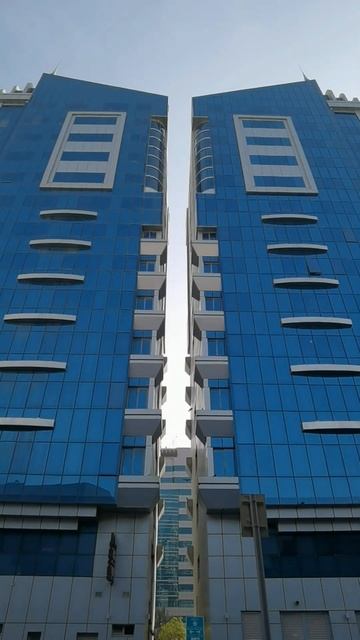 At Twin Tower #birds смотреть онлайн