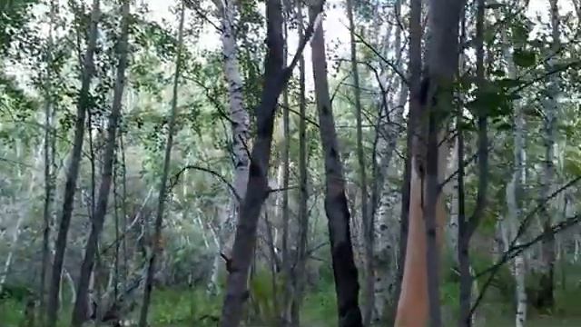 Корнеевка. Первая поездка в 2021 году. смотреть онлайн