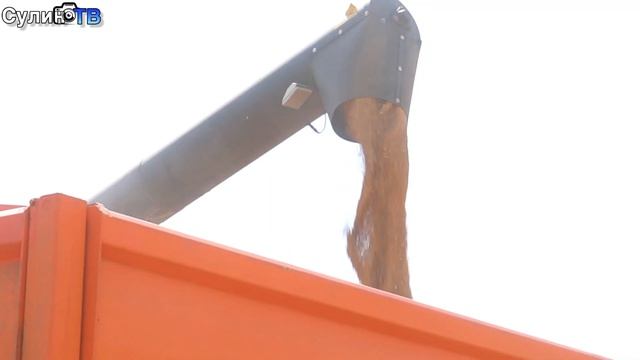 КОМБАЙНЫ 8 08 23 смотреть онлайн