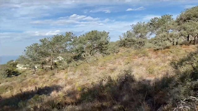 Удивительные места Сан Диего. Природный заповедник “Торри Пайнс» смотреть онлайн