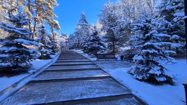 Кисловодск/Зимняя сказка в парке/12.03.2024 смотреть онлайн