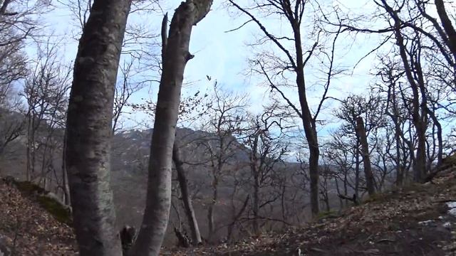 Крым-февраль,не большое ПВД,перекус,чай на щепочнице..)) смотреть онлайн