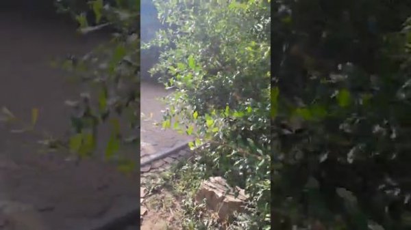 Отдых в Трёхгорке, Епатория.