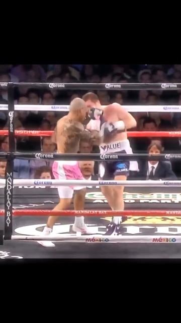 Canelo best moment 🔥|| #canelo #caneloalvarez #boxe #boxing #headmovement #ko смотреть онлайн