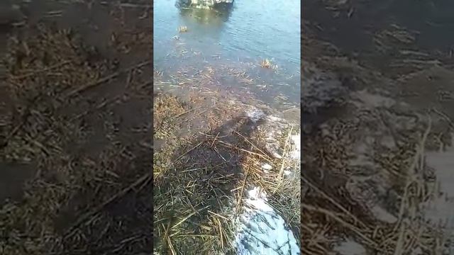 Уаз монстр волгоград продаю смотреть онлайн