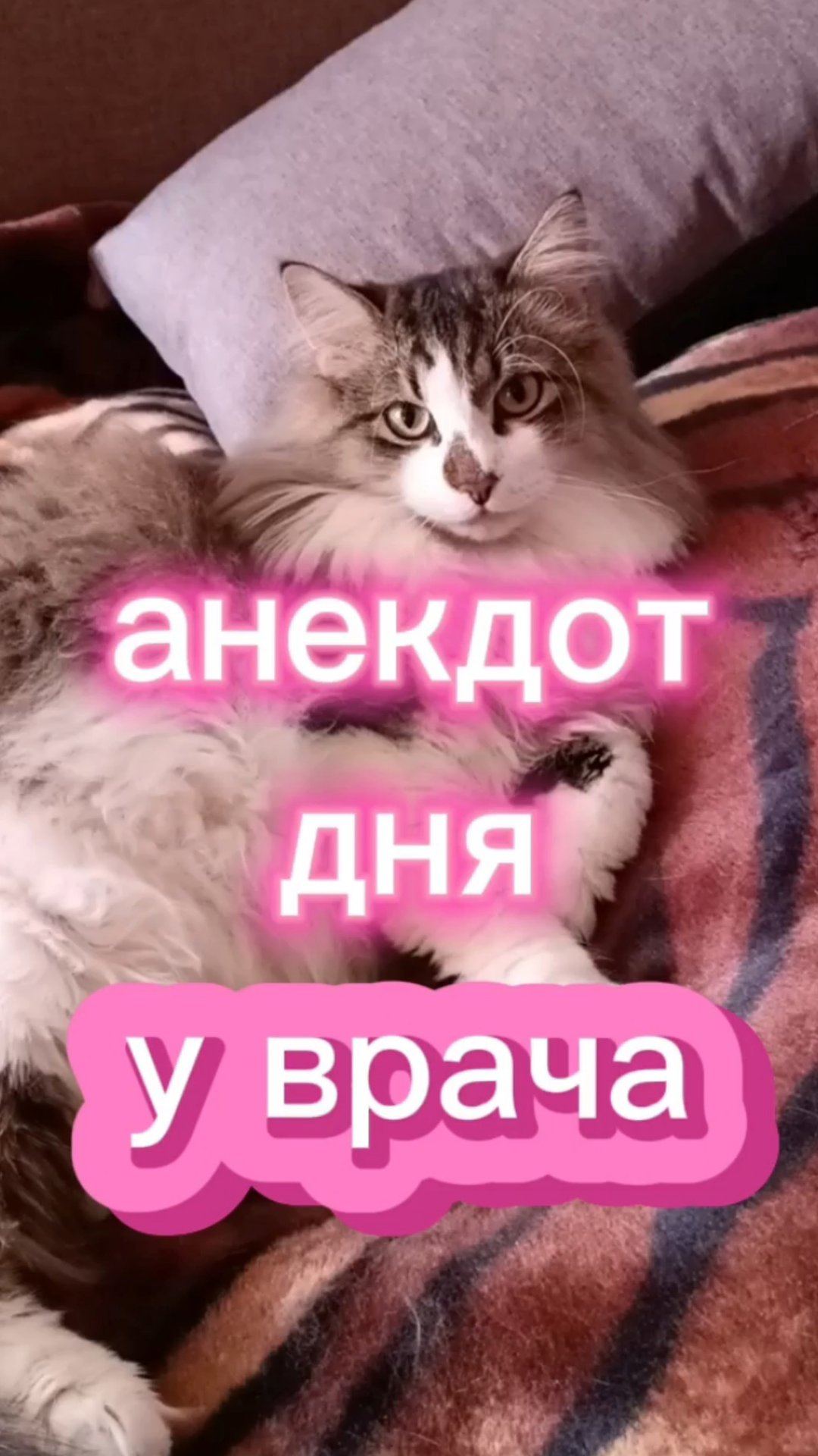 Анекдот дня. смотреть онлайн