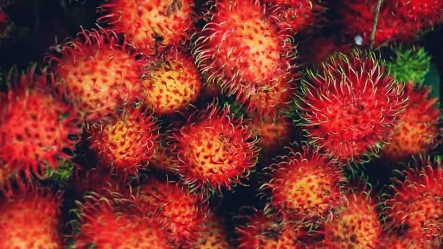 Nha Trang Market. Shoking Asia. Рынок в Нячанге. Вьетнамский обед. Отдых в Нячанге. смотреть онлайн