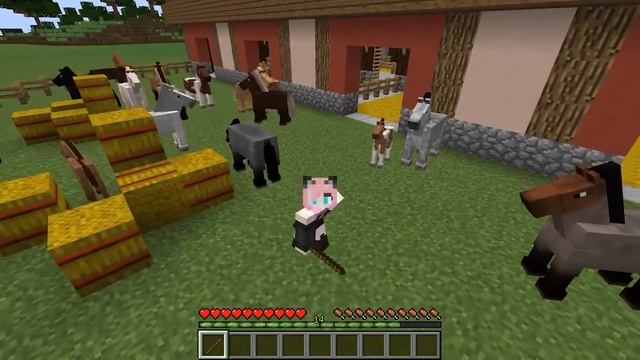 Realistic Horse Genetics. REALISTIC HORSE GENETICS. Tutorial / Guide (minecraft Java Edition)