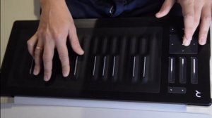 Roli Seaboard Rise 25