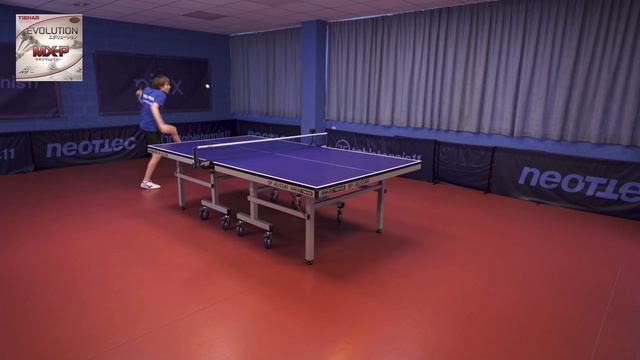 Tibhar Evolution MX-D | Review and Comparison смотреть онлайн