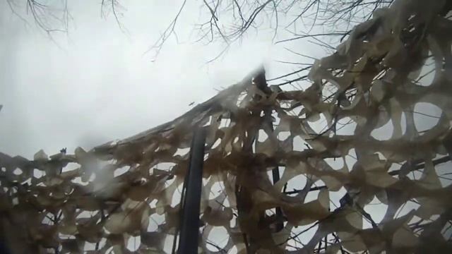 охота на гуся весна 2021 г. смотреть онлайн