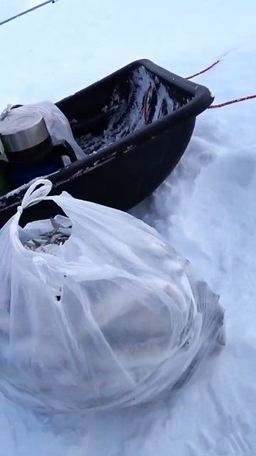 #Shorts #рыбалка #fishing #рыба #fish #Удочка #природа #nature #отдых #путешествия #rest #shorts смотреть онлайн