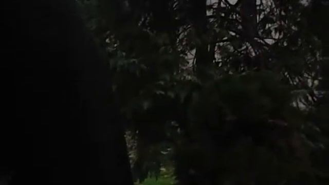 Пятизвездный гранд-отель Приморец на пляже Бургаса зимой смотреть онлайн