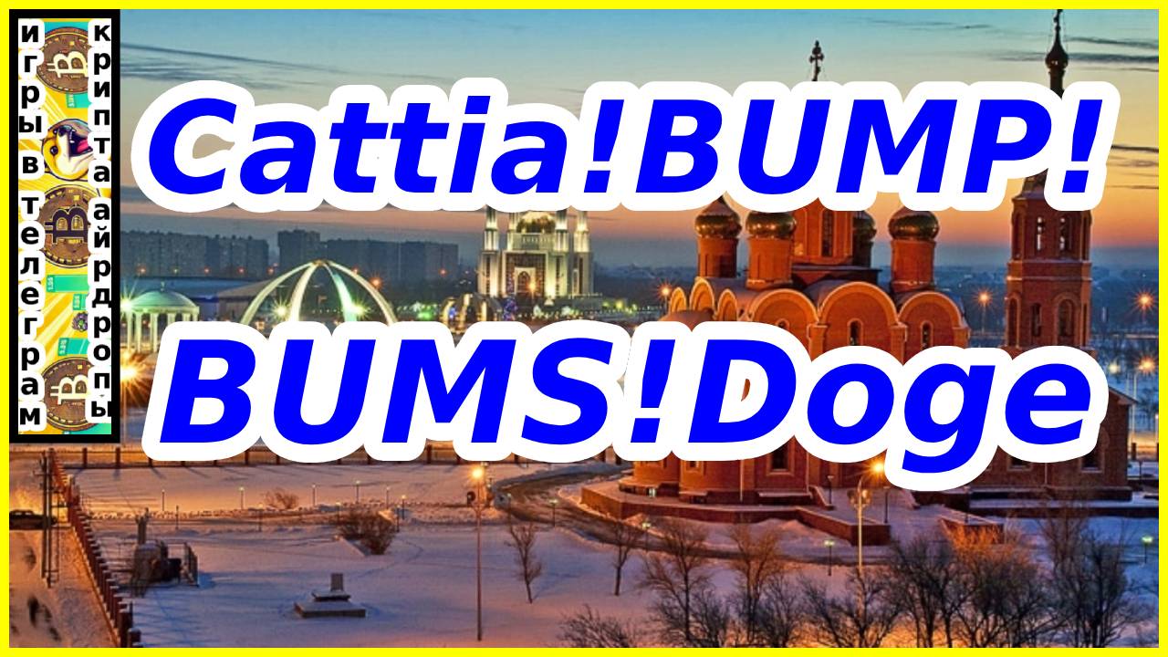 Cattia!BUMP!BUMS!Doge