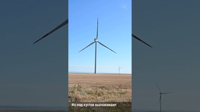Белые Титаны "зелёной энергетики" на трассе M4 смотреть онлайн