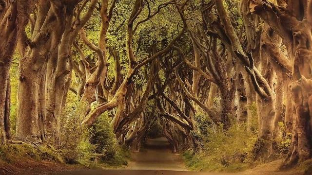 Celtic Mystique Music. Beautiful, Relaxing and Meditative Music by E.F. Cortese. смотреть онлайн