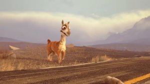 Мультфильм про Ламу   Caminandes 1  Llama Drama