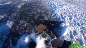 НАЛИМ НА СТУК ! ОНЕЖСКОЕ ОЗЕРО