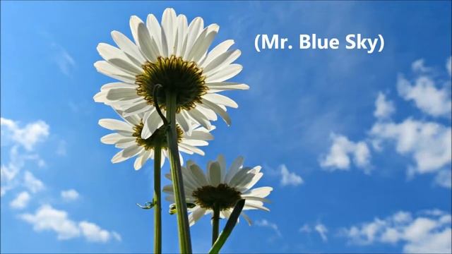 ELO - Mr. Blue Sky With Lyrics - Electric Light Orchestra - Jeff Lynne ( Music & Lyrics )