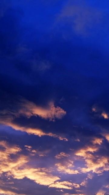 Тетрахроматия Наталья Машинистова