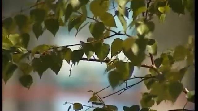 день молодежи смотреть онлайн