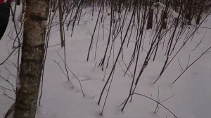 Пробили СКОВОРОДКУ из пневматики 150 метров/ ЕГЕРЬ от РОК 6.35/ Мощная пневматика без лицензии