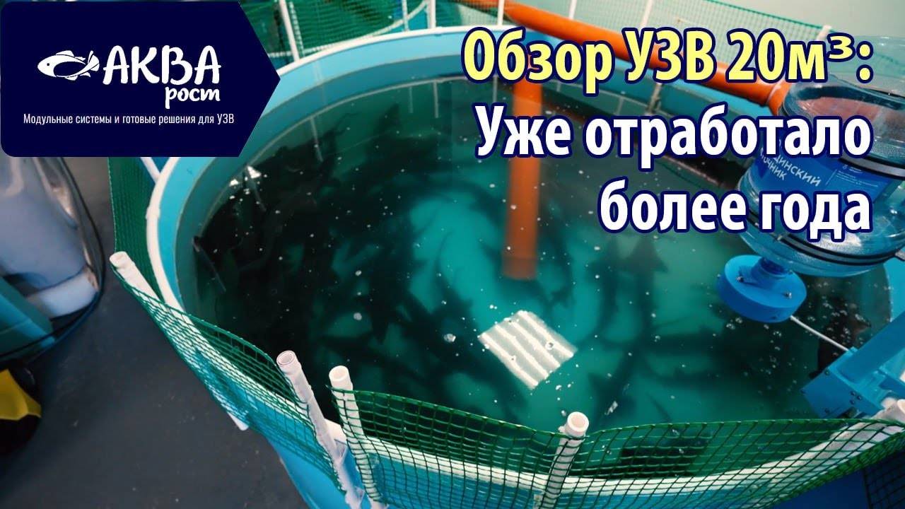 Обзор УЗВ на 20 кв м #узв #рыба #акварост #бизнесвдеревне