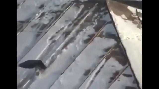 Crown on Snowboard Ворона на сноуборде смотреть онлайн