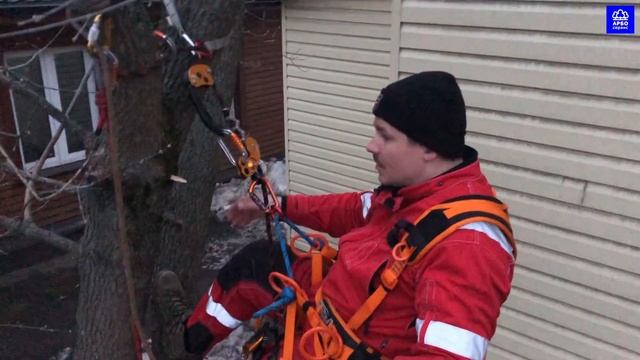 Petzl ZigZag 2019 & Chikane (Пецль ЗигЗаг и Чекан). Видео 1. смотреть онлайн