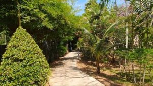 Тайланд Пхукет Най Янг Ресорт 4* Thailand Phuket Nai Yang Beach Resort&Spa