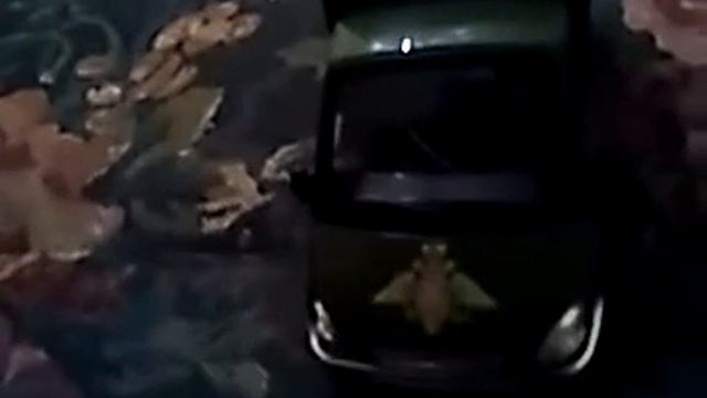 Моя первая находка в жизни смотреть онлайн