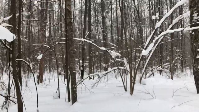 Папковый патрон ,на дымаре ,закрыли под звезду 👍👍👍 смотреть онлайн
