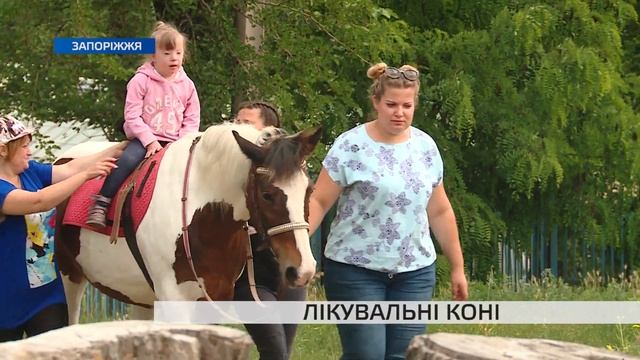 Лiкувальнi конi смотреть онлайн