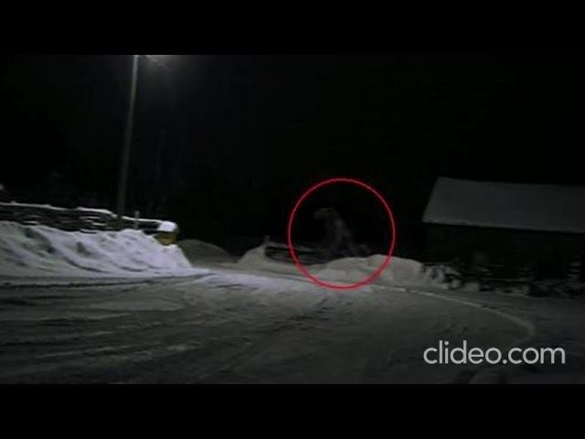 страшные истории. оборотень хутор кабаний смотреть онлайн