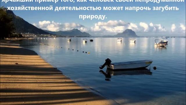 3B8/DF6LO Остров Маврикий. С сайта dxnews.com смотреть онлайн