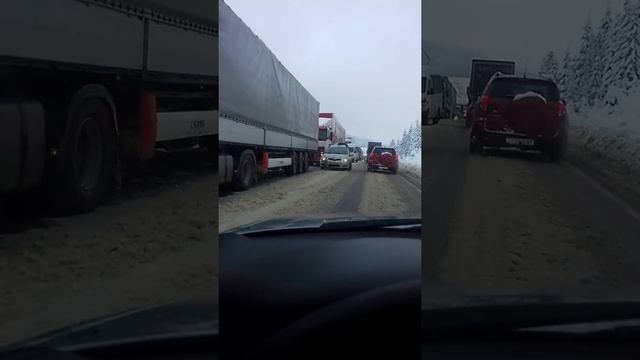 Зима на Львівщині,Мохнате смотреть онлайн