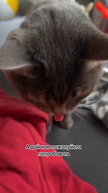 Когда спросили поехала ли крыша в декрете, а ты ответи?