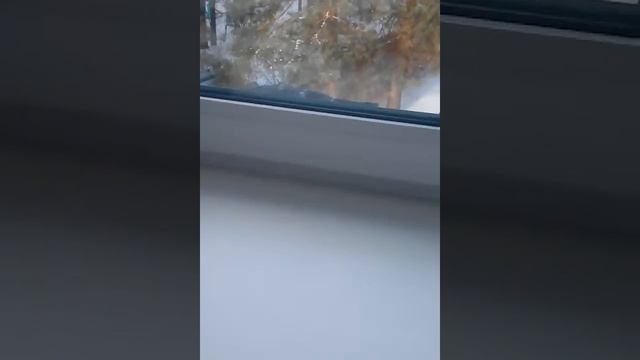 Лагерь Лазурный Выкса кормим голубей смотреть онлайн