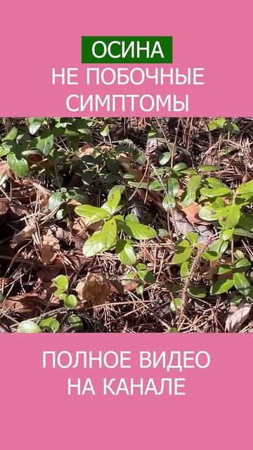 Как Определить, Какие ТРАВЫ ПОДХОДЯТ Лично Вам смотреть онлайн