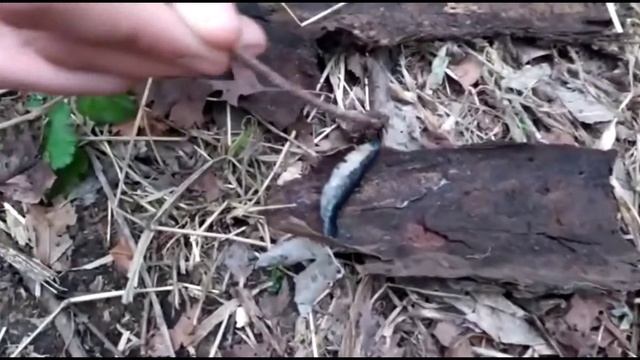 Поход в горы - строим шалаш и жарим картошку (1) смотреть онлайн