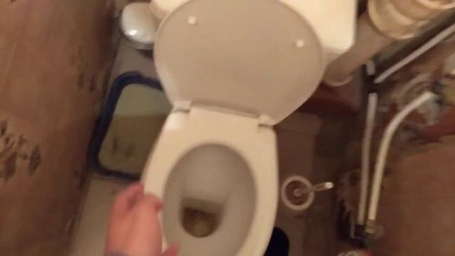 КАК ПРАВИЛЬНО КАКАТЬ смотреть онлайн