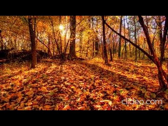 страшные истории несуществующий дед смотреть онлайн