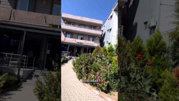 Отель NICA (Ницца), Кобулети, Грузия. Автобусные туры из Беларуси