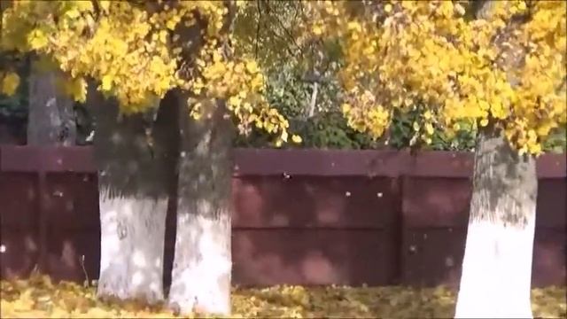 У природы нет плохой погоды... смотреть онлайн