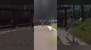 Невероятная Грузия. Шеквитили. Shekveteli Dendralogical park, Georgia. Великолепная прогулка 2022