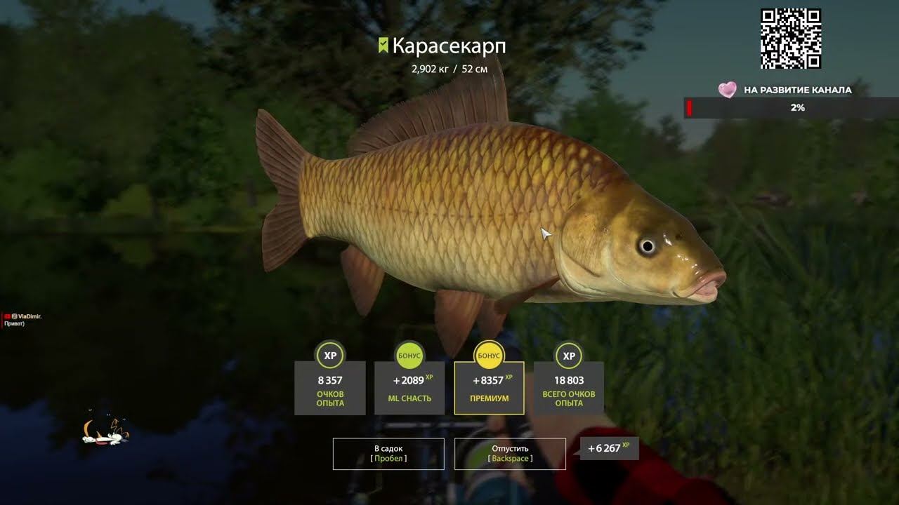 Что мы будем делать? - Ловить рыбу=)▶Русская рыбалка 4 / PP4