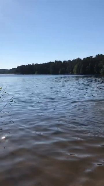 Лето. Луга. Озеро смотреть онлайн