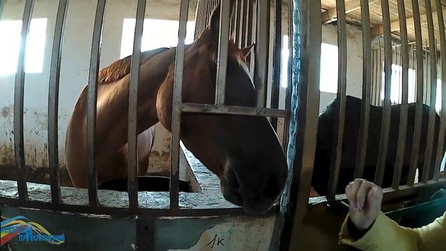 В ответе за тех 2018 смотреть онлайн