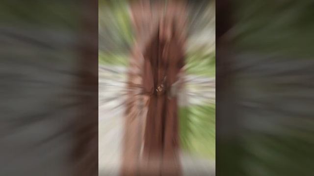 latest dubai borka design,unique fashion designer borkaabaya Design,borka design 2023,2024,new mode смотреть онлайн