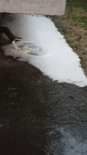 Что это течёт с крыши? смотреть онлайн